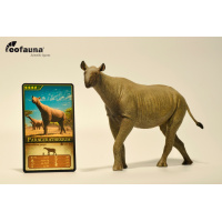 Парацератерій Paraceratherium grangeri EoFauna 00716