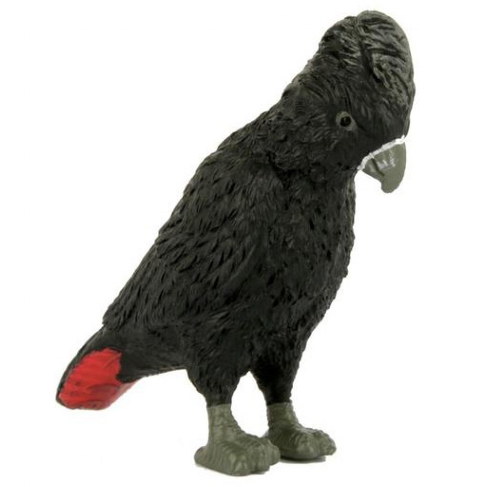 Animals of Australia чорний какаду папуга птах 75382