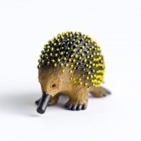 Єхидна Animals of Australia 75484