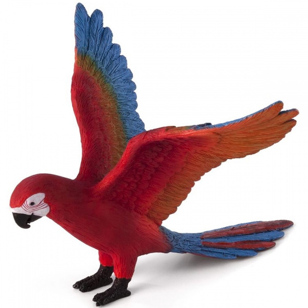 Папуга ара Mojo 387263