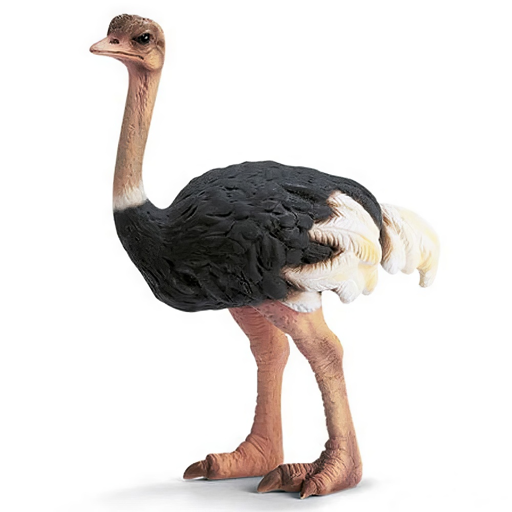 Страус Schleich 14325