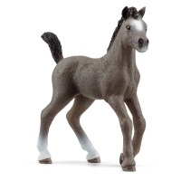 Французька верхова, лоша Schleich 13957