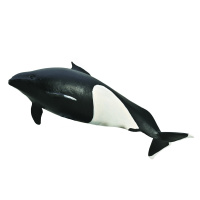 Білокрила морська свиня Далля Collecta 80068
