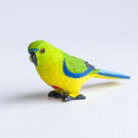 Animals of Australia Золотистобрюхий папуга 75220