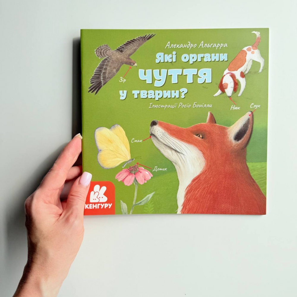 Які органи чуття у тварин?