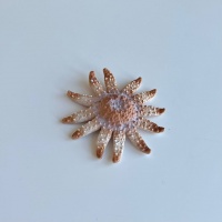 Морська зірка рожева Bullyland