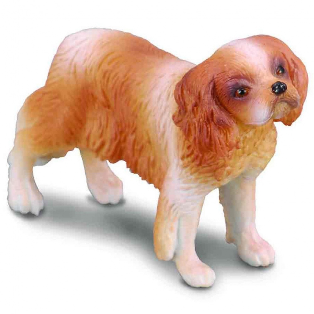 Собака Кавалер кінг-чарльз-спаніель Collecta 88181