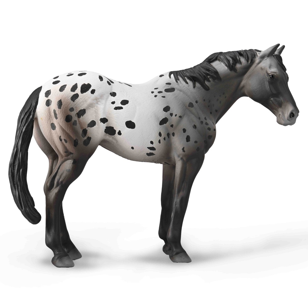 Аппалуза жеребець Collecta 88947