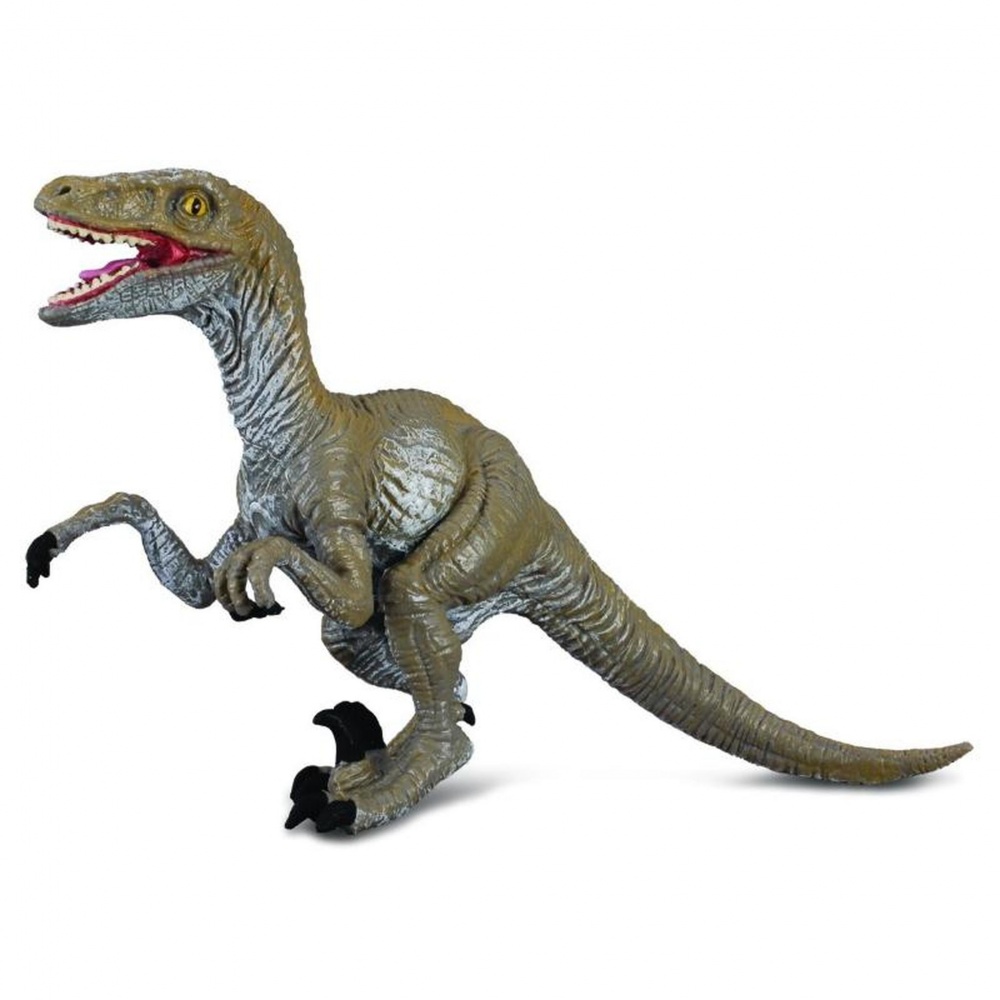 Динозавр Велоцираптор / Velociraptor Collecta 88034