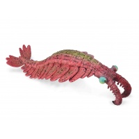 Аномалокаріс Anomalocaris CollectA 88977