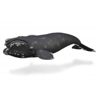 Південний кит Collecta 88740