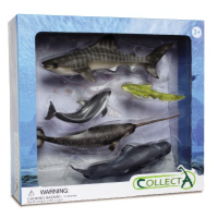 Набір 5 морських тварин CollectA 89671