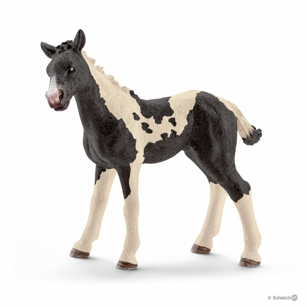 Лоша Пінто Schleich 17084