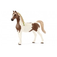 Пінтабіан кобила Schliech 13838