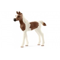 Лоша Пінтабіан Schliech 13839