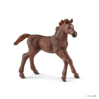 Лоша Англійська чистокровна верхова Schleich 13857
