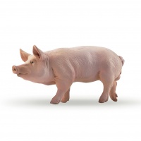  Кнур свин Papo 51044
