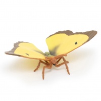 Метелик жовтець луговий Papo 50288