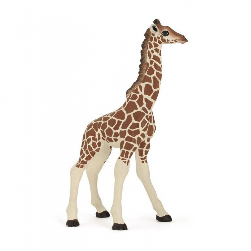 Дитинча жирафа Papo 50100