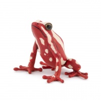 Іграшка фігурка Жаба дереволаз отруйна Papo 50315