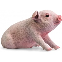 Порося PNSO 1012ZH