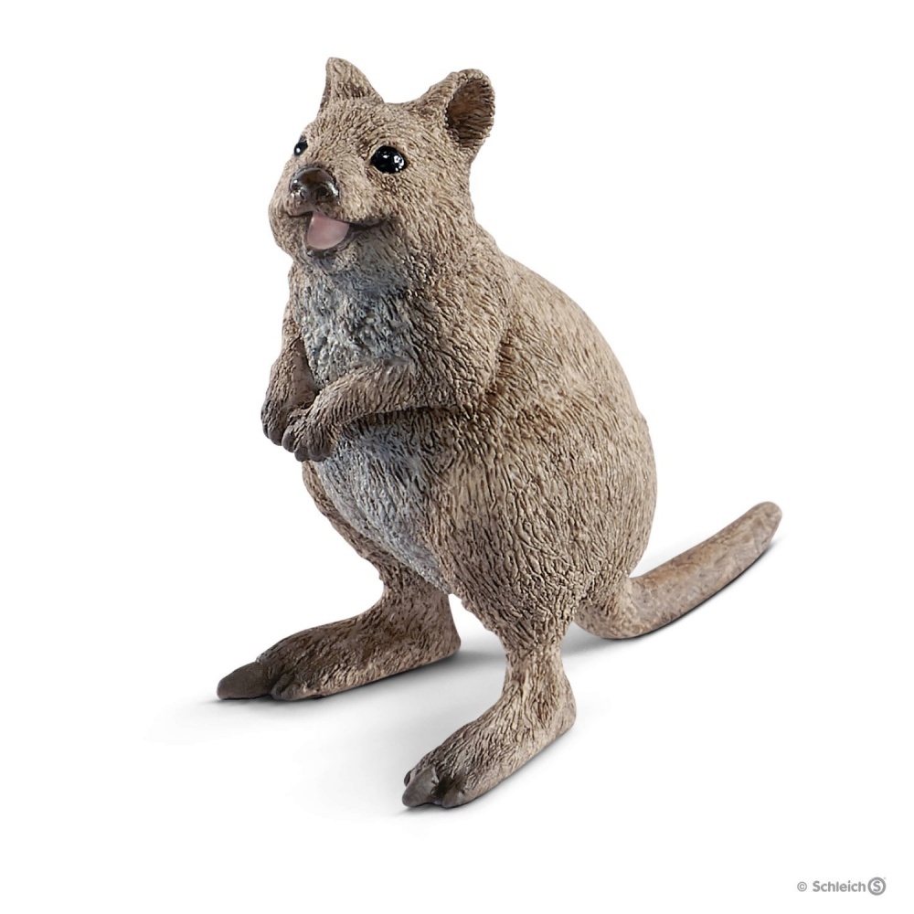 Квокка (малий кенгуру) Schleich 14823