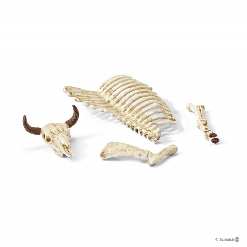 Набір Кістки Schleich 42249