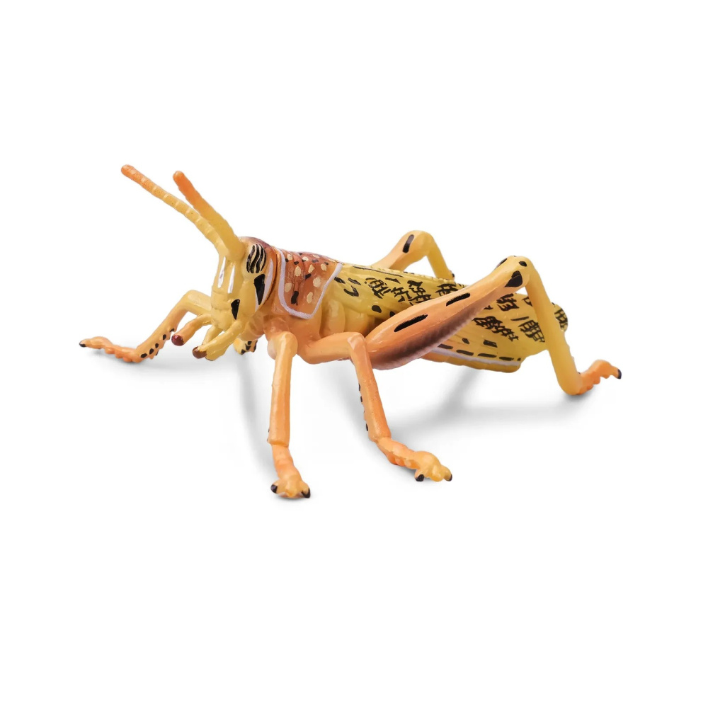 Фігурка пустельна сарана Toymany ML00501