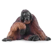 Суматранський орангутан Toymany ML00436